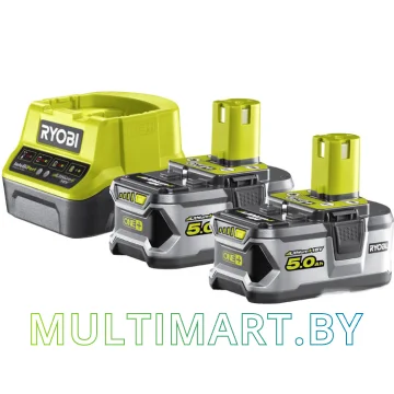 Аккумулятор с зарядным устройством Ryobi RC18120-250 ONE (5133003364)